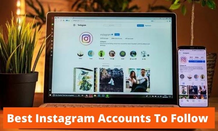 the best Instagram accounts to follow up and coming musician