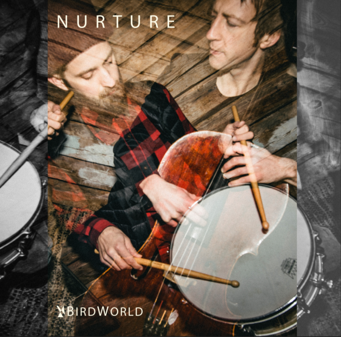 BirdWorld Nurture (Album Review) BirdWorld Nurture (Album Review)