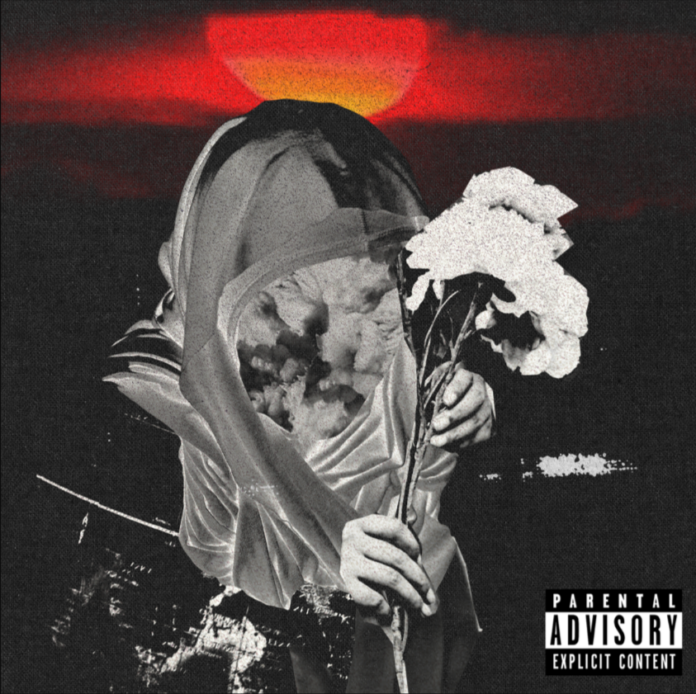 Dr Lekta Flowers For The Illest (Album Review) Dr Lekta Flowers For The Illest (Album Review)
