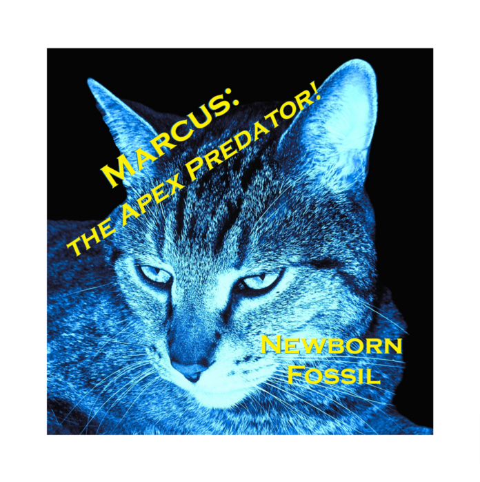 Marcus the Apex Predator! Newborn Fossil (EP Review) Marcus the Apex Predator! Newborn Fossil (EP Review)