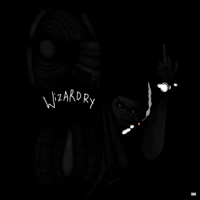 R2rCam Wizardry (Album Review) R2rCam Wizardry (Album Review)